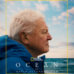 IN-PERSON: Film Scre